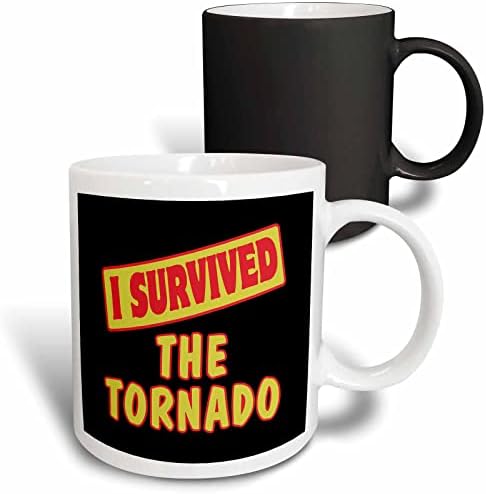 3дРоуз, аз съм преживял Торнадо, Гордост за оцеляване И Дизайн с чувство за хумор - Чаши (mug_118399_1)