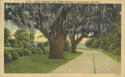 Пощенска картичка Южна магистрала, Флорида