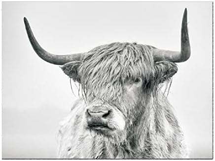 Комплект от 2 теми, Плакати върху Платно с изображение на Планинска Крава, черно-бели Портрети на животни, с участието на Длиннорогого Бычка, Стенно Изкуство за Днев