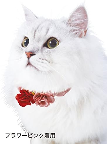 Ластикът за коса Petio Collar Preciante Cat Color с Цветя Модел Лилав цвят за Котки
