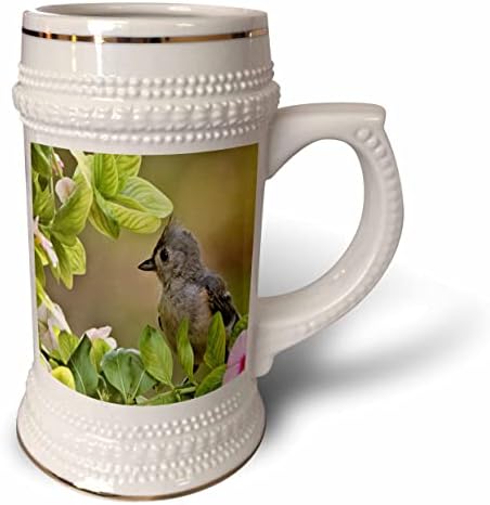 Триизмерно Снимки Хохлатой гърди-мишката Върху Пищна дърво - 22 грама В Стъклена чаша (stn_357334_1)