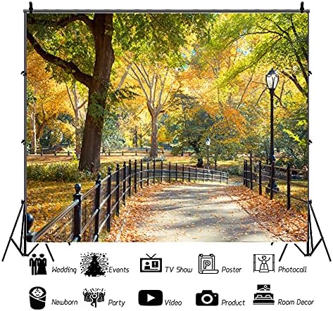 Laeacco Сентръл парк в Ню Йорк Фон за снимки 10x8 фута Цветни Фонове Есенен Ден Пейзаж Пътен Лампа Падналите