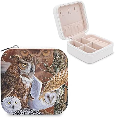 Намерете Кутия За Съхранение На Бижута Owls От Изкуствена Кожа, Малки Кутии-Организаторите, Пътен Калъф За Бижута