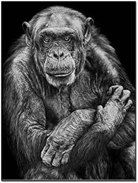 Плакат с изображение на животни, Произведение на изкуството от Шимпанзета, Маймуни, Абстрактно Монтиране на